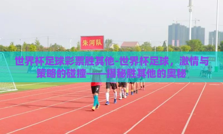 世界杯足球彩票胜其他-世界杯足球,激情与策略的碰撞——揭秘胜其他的奥秘 世界杯足球彩票胜其他-世界杯足球,激情与策略的碰撞——揭秘胜其他的奥秘