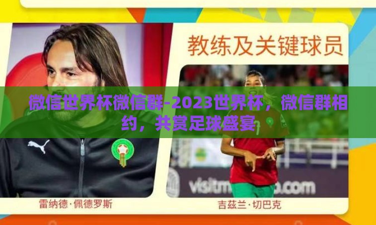 微信世界杯微信群-2023世界杯，微信群相约，共赏足球盛宴