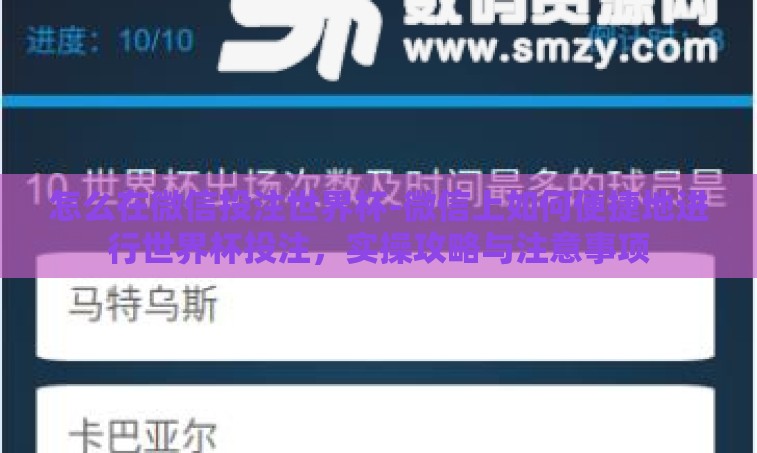 怎么在微信投注世界杯-微信上如何便捷地进行世界杯投注，实操攻略与注意事项
