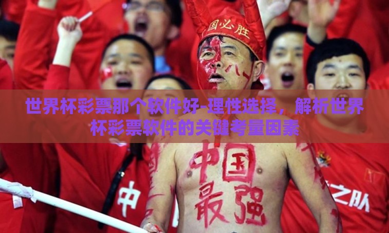世界杯彩票那个软件好-理性选择，解析世界杯彩票软件的关键考量因素