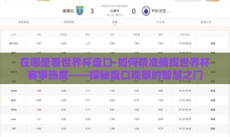 在哪里看世界杯盘口-如何精准捕捉世界杯赛事热度——探秘盘口观察的智慧之门 在哪里看世界杯盘口-如何精准捕捉世界杯赛事热度——探秘盘口观察的智慧之门