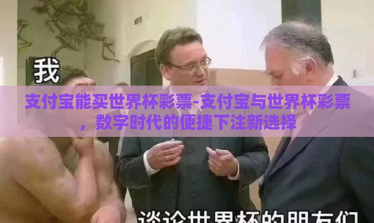 支付宝能买世界杯彩票-支付宝与世界杯彩票，数字时代的便捷下注新选择