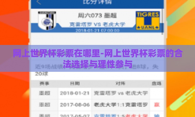 网上世界杯彩票在哪里-网上世界杯彩票的合法选择与理性参与