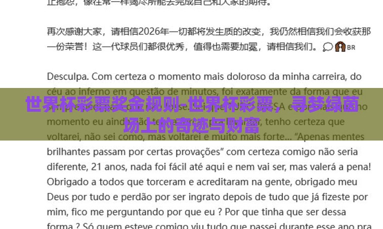 世界杯彩票奖金规则-世界杯彩票，寻梦绿茵场上的奇迹与财富