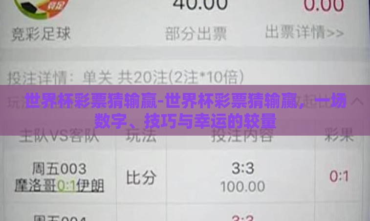 世界杯彩票猜输赢-世界杯彩票猜输赢，一场数字、技巧与幸运的较量