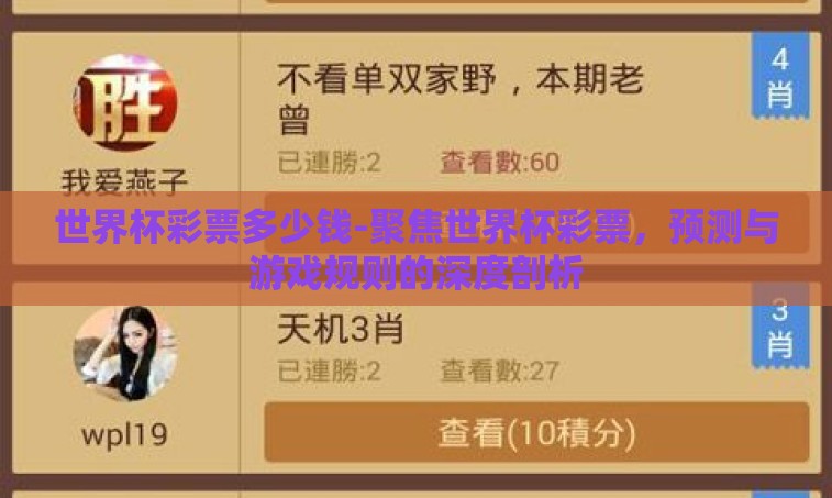 世界杯彩票多少钱-聚焦世界杯彩票，预测与游戏规则的深度剖析