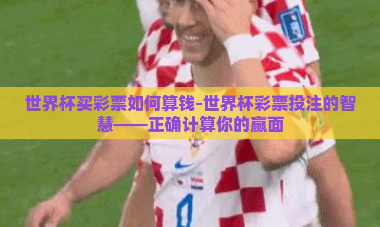 世界杯买彩票如何算钱-世界杯彩票投注的智慧——正确计算你的赢面