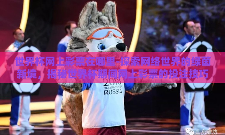 世界杯网上彩票在哪里-探索网络世界的绿茵新境，揭秘世界杯期间网上彩票的投注技巧
