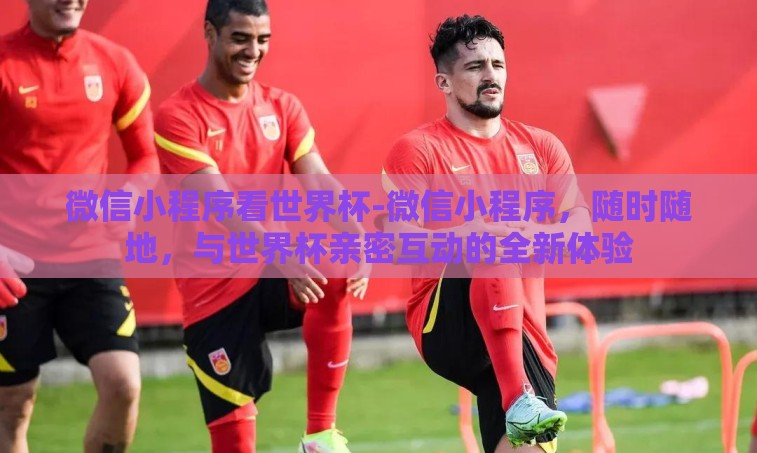 微信小程序看世界杯-微信小程序，随时随地，与世界杯亲密互动的全新体验