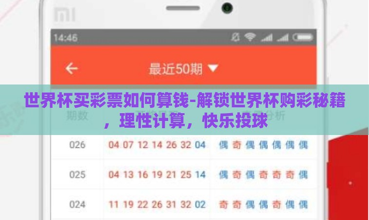 世界杯买彩票如何算钱-解锁世界杯购彩秘籍，理性计算，快乐投球