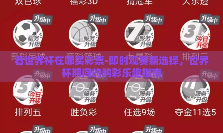 看世界杯在哪买彩票-即时观赛新选择，世界杯期间的购彩乐趣指南