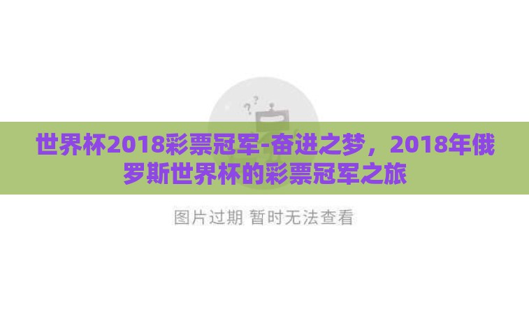 世界杯2018彩票冠军-奋进之梦，2018年俄罗斯世界杯的彩票冠军之旅