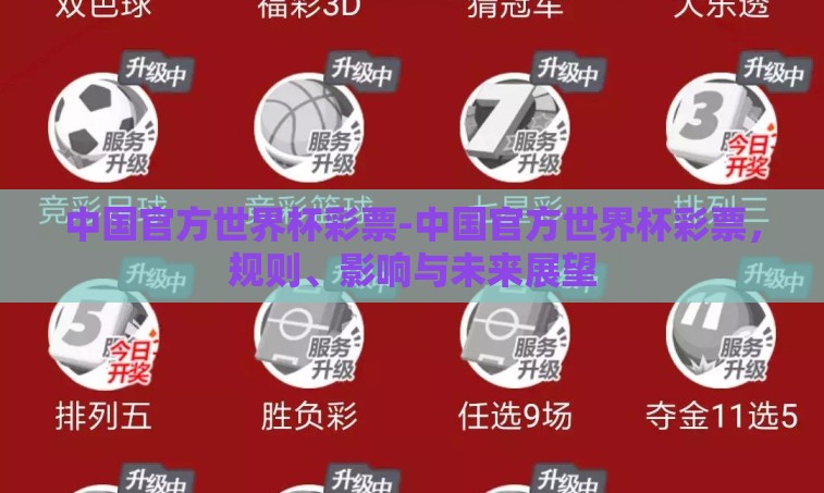 中国官方世界杯彩票-中国官方世界杯彩票，规则、影响与未来展望