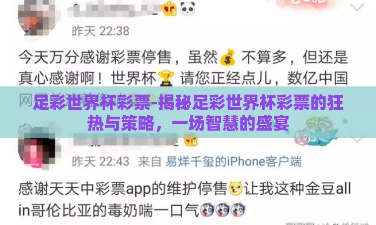 足彩世界杯彩票-揭秘足彩世界杯彩票的狂热与策略，一场智慧的盛宴