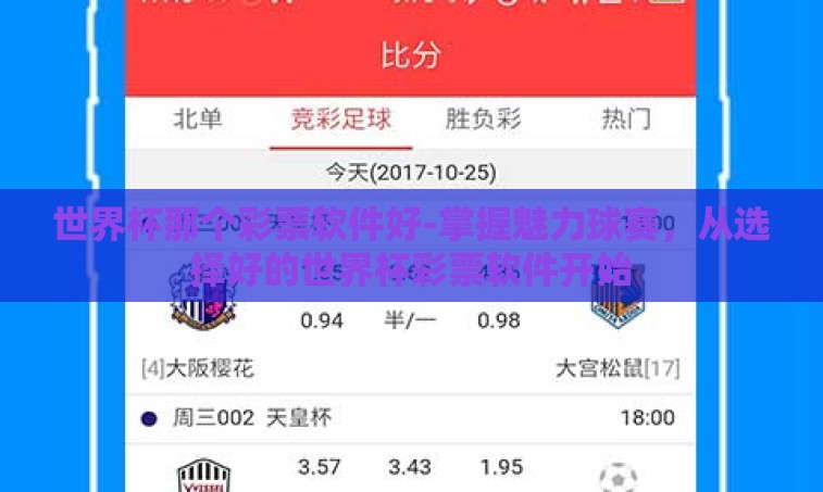世界杯那个彩票软件好-掌握魅力球赛，从选择好的世界杯彩票软件开始