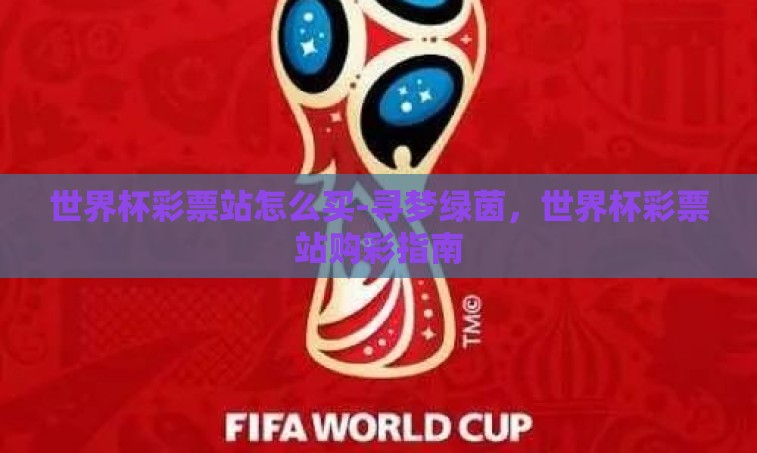 世界杯彩票站怎么买-寻梦绿茵，世界杯彩票站购彩指南