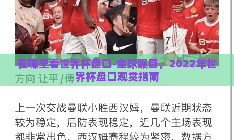 在哪里看世界杯盘口-全球瞩目，2022年世界杯盘口观赏指南