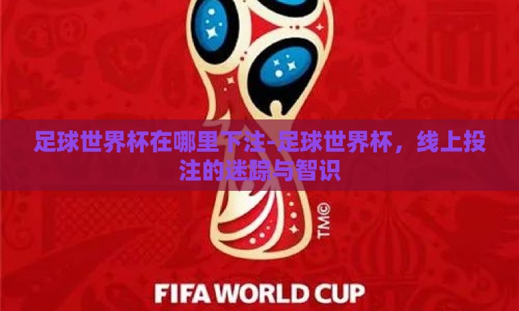 足球世界杯在哪里下注-足球世界杯，线上投注的迷踪与智识