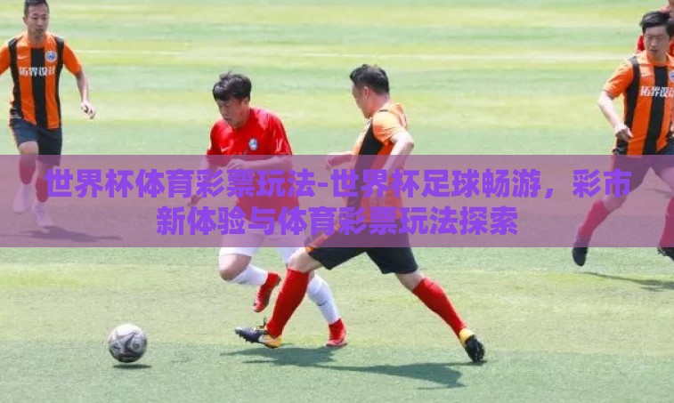 世界杯体育彩票玩法-世界杯足球畅游，彩市新体验与体育彩票玩法探索
