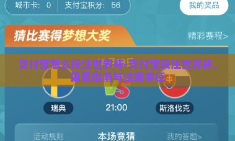 支付宝怎么投注世界杯-支付宝投注世界杯，简易指南与注意事项