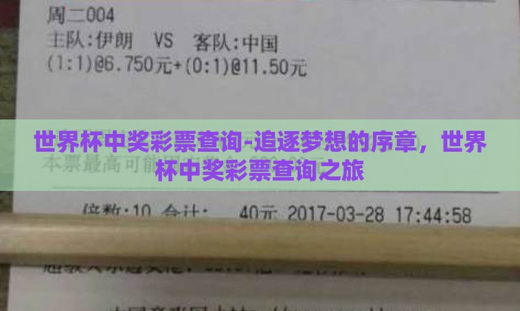 世界杯中奖彩票查询-追逐梦想的序章，世界杯中奖彩票查询之旅