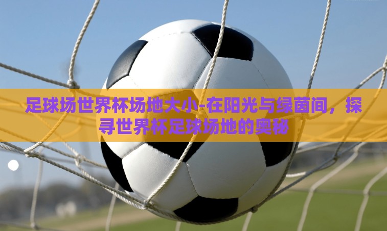 足球场世界杯场地大小-在阳光与绿茵间，探寻世界杯足球场地的奥秘