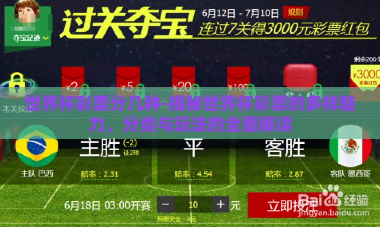 世界杯彩票分几种-揭秘世界杯彩票的多样魅力，分类与玩法的全面解读