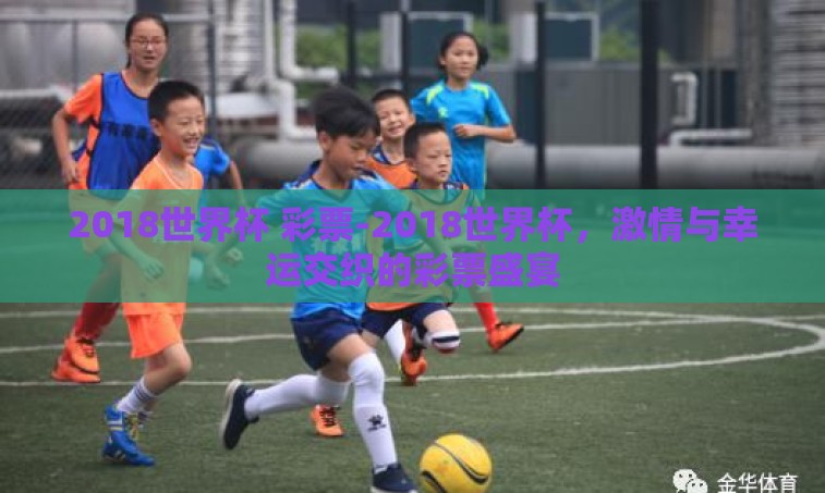 2018世界杯 彩票-2018世界杯，激情与幸运交织的彩票盛宴