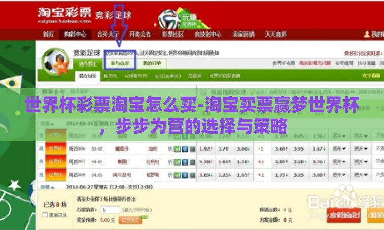 世界杯彩票淘宝怎么买-淘宝买票赢梦世界杯，步步为营的选择与策略