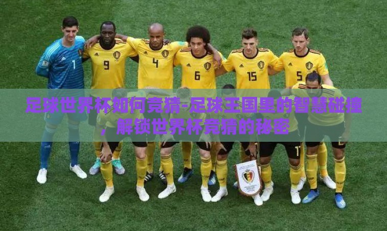 足球世界杯如何竞猜-足球王国里的智慧碰撞,解锁世界杯竞猜的秘密 足球世界杯如何竞猜-足球王国里的智慧碰撞,解锁世界杯竞猜的秘密