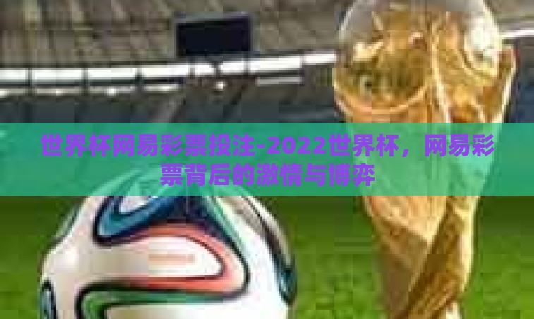 世界杯网易彩票投注-2022世界杯，网易彩票背后的激情与博弈
