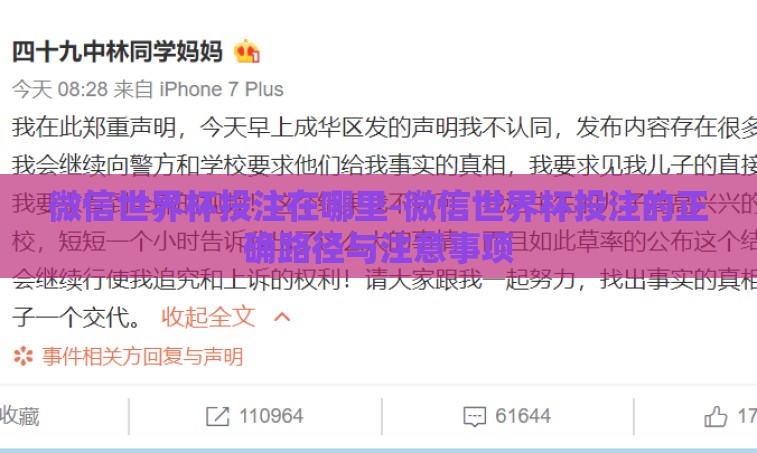 微信世界杯投注在哪里-微信世界杯投注的正确路径与注意事项