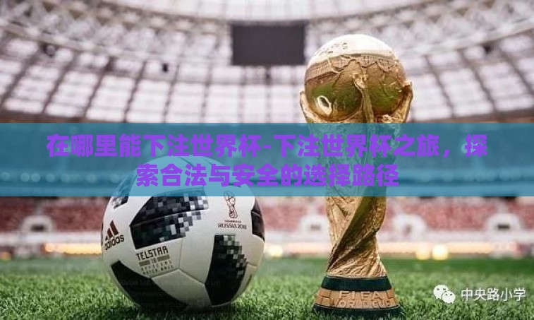 在哪里能下注世界杯-下注世界杯之旅，探索合法与安全的选择路径