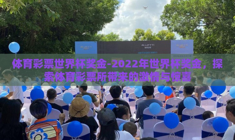 体育彩票世界杯奖金-2022年世界杯奖金，探索体育彩票所带来的激情与惊喜