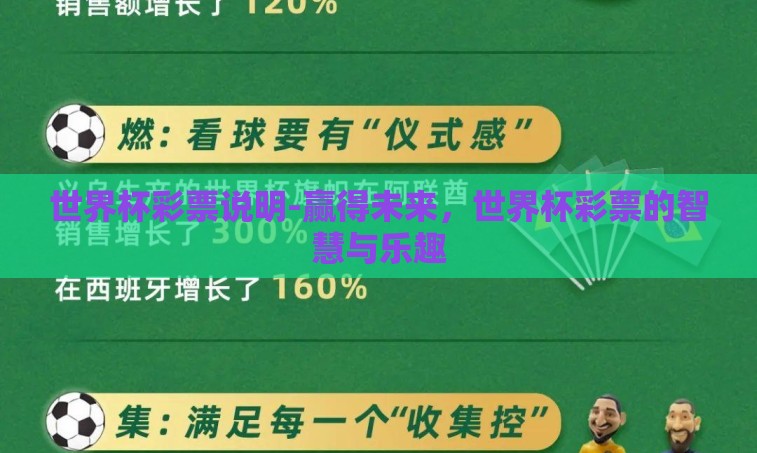 世界杯彩票说明-赢得未来，世界杯彩票的智慧与乐趣