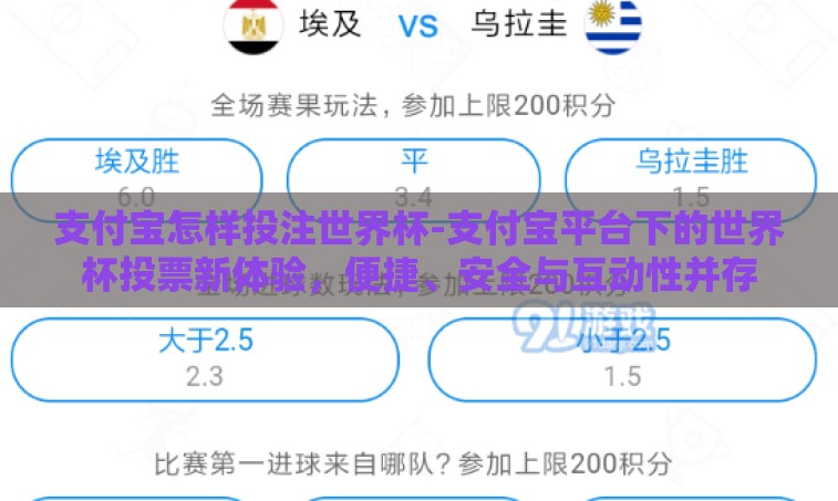 支付宝怎样投注世界杯-支付宝平台下的世界杯投票新体验，便捷、安全与互动性并存
