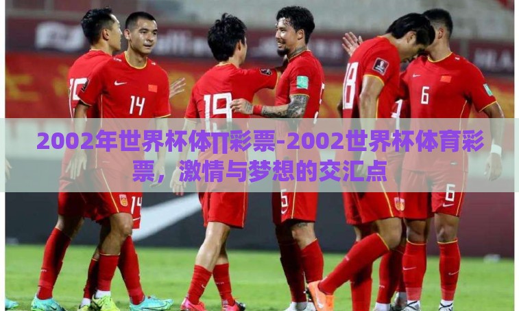 2002年世界杯体∏彩票-2002世界杯体育彩票，激情与梦想的交汇点