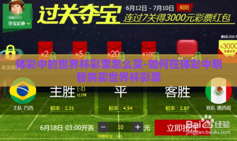 体彩中的世界杯彩票怎么买-如何在体彩中明智购买世界杯彩票 体彩中的世界杯彩票怎么买-如何在体彩中明智购买世界杯彩票