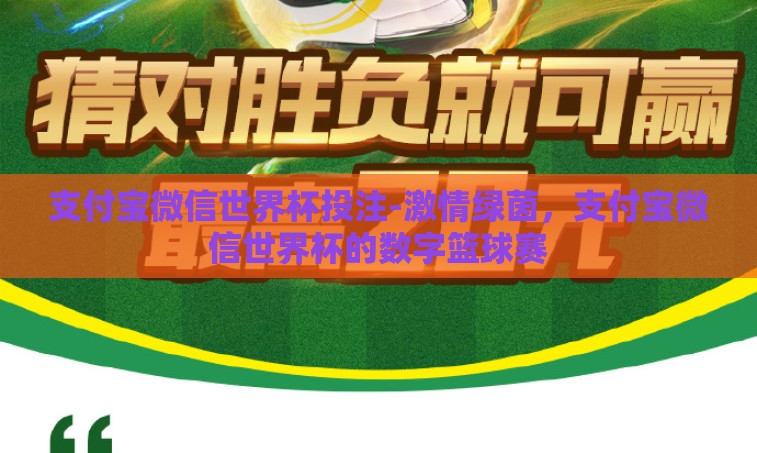 支付宝微信世界杯投注-激情绿茵，支付宝微信世界杯的数字篮球赛