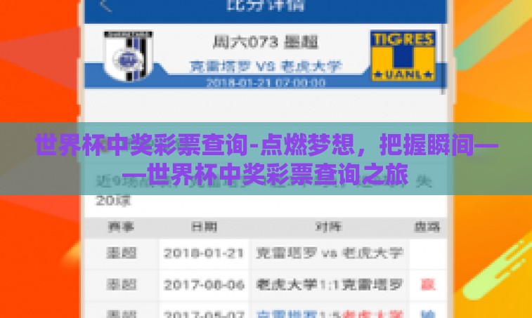 世界杯中奖彩票查询-点燃梦想，把握瞬间——世界杯中奖彩票查询之旅