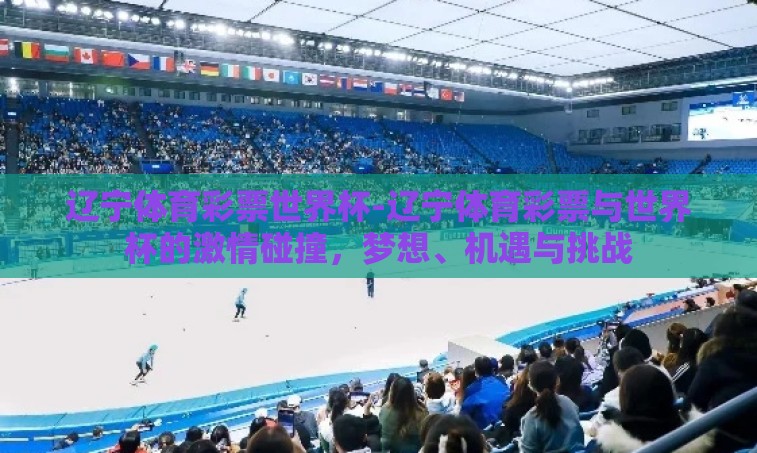辽宁体育彩票世界杯-辽宁体育彩票与世界杯的激情碰撞，梦想、机遇与挑战