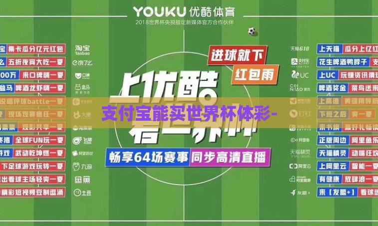支付宝能买世界杯体彩-