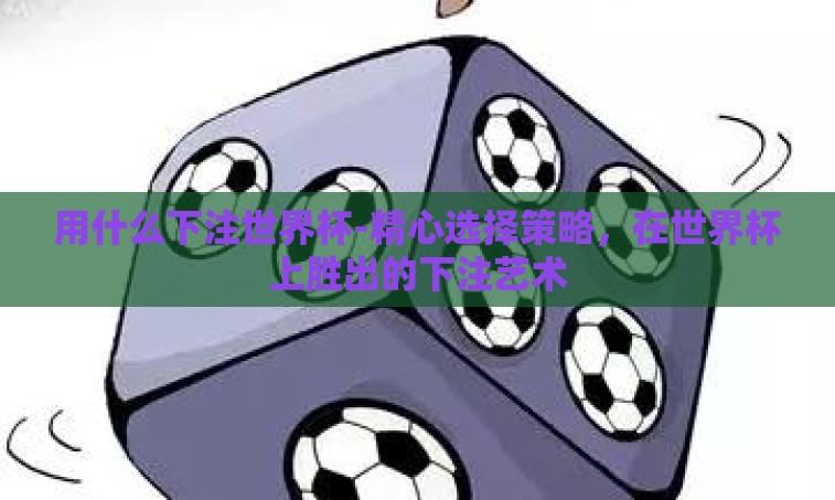 用什么下注世界杯-精心选择策略，在世界杯上胜出的下注艺术