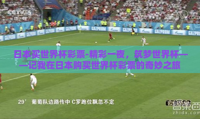 日本买世界杯彩票-精彩一夜，筑梦世界杯——记我在日本购买世界杯彩票的奇妙之旅
