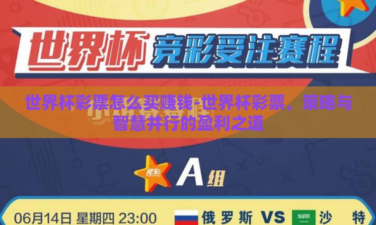 世界杯彩票怎么买赚钱-世界杯彩票，策略与智慧并行的盈利之道
