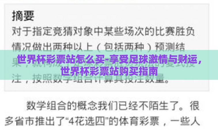 世界杯彩票站怎么买-享受足球激情与财运，世界杯彩票站购买指南