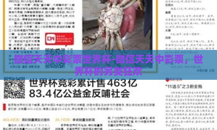 微信天天中彩票世界杯-微信天天中彩票，世界杯的另类狂欢