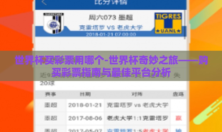 世界杯买彩票用哪个-世界杯奇妙之旅——购买彩票指南与最佳平台分析 世界杯买彩票用哪个-世界杯奇妙之旅——购买彩票指南与最佳平台分析