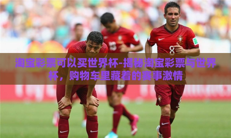 淘宝彩票可以买世界杯-揭秘淘宝彩票与世界杯，购物车里藏着的赛事激情