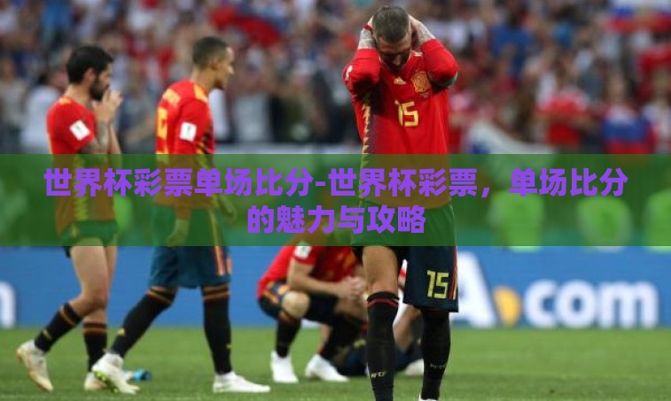 世界杯彩票单场比分-世界杯彩票，单场比分的魅力与攻略